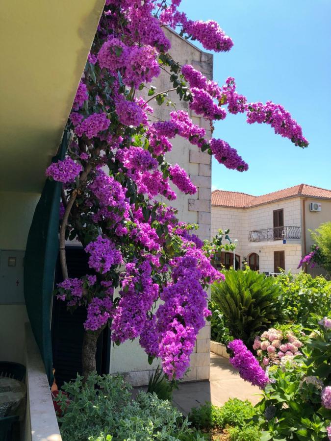 Villa Marijana 斯瑞瑟尔 外观 照片